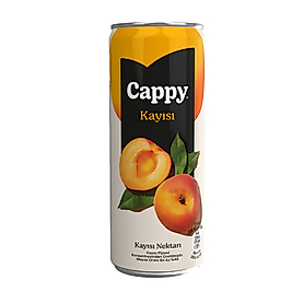 Cappy Kayısı 330Ml