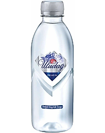 Uludağ Su 400Ml