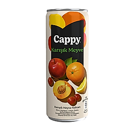 Cappy Karışık Meyve 330Ml